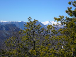 Salendo verso il Carmo di Loano  si possono ammirare le cime del Saccarello, del Mongioie, del Pizzo d'Ormea, dell'Antoroto che scintillano al sole bianchissime.